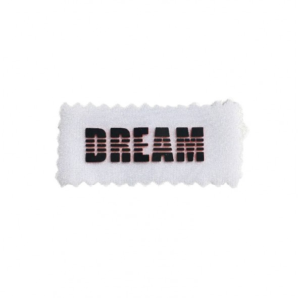 FLUX Dream Logo